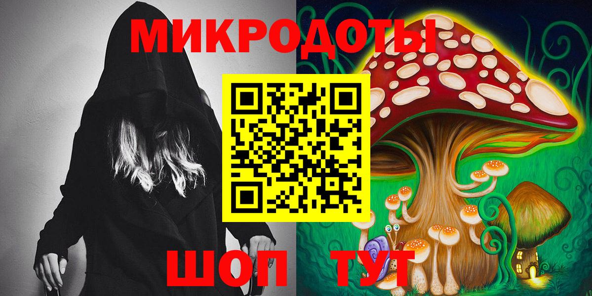 Псилоцибиновые грибы Psilocybe Амурск